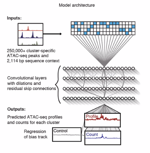 image-20211015100345509