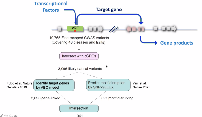 image-20211015103937578