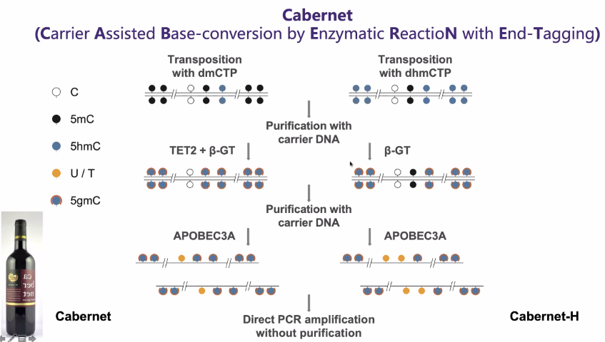 image-20211015151926483