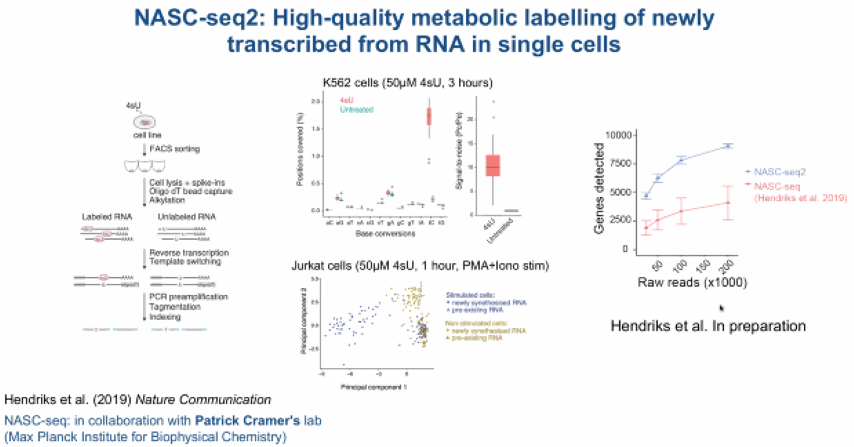 image-20211015170412704