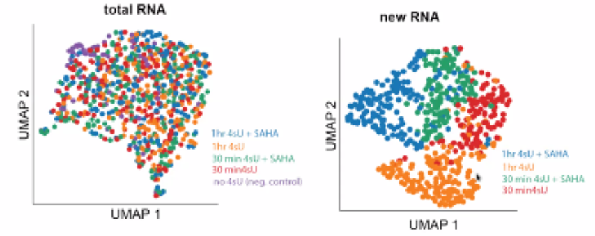 image-20211015170610190