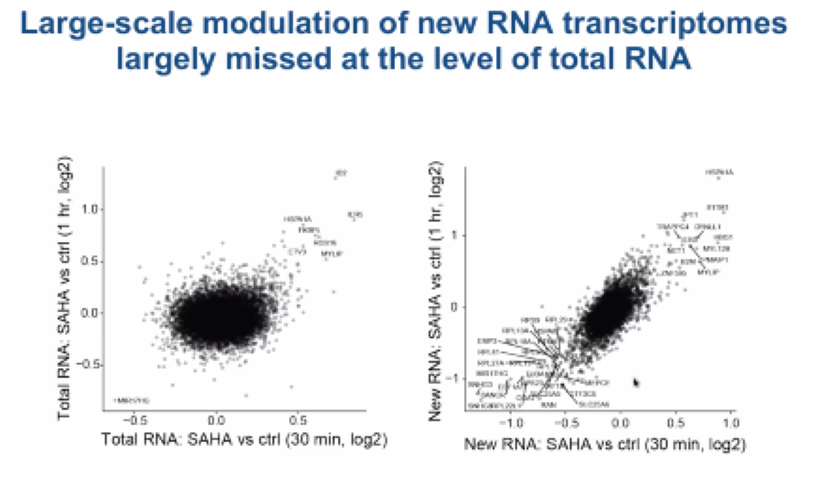 image-20211015170650752