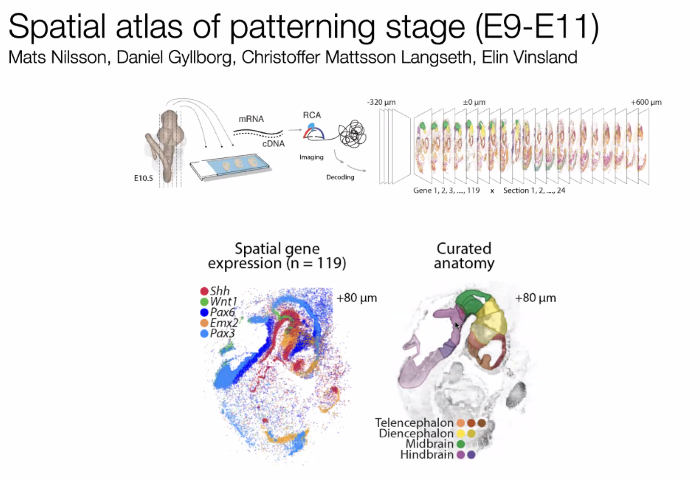 image-20211015174012879