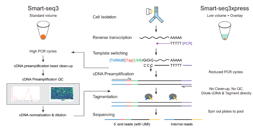 image-20211015215727125