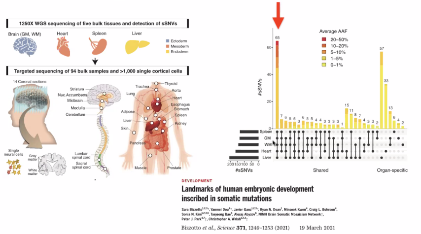 image-20211016084431648