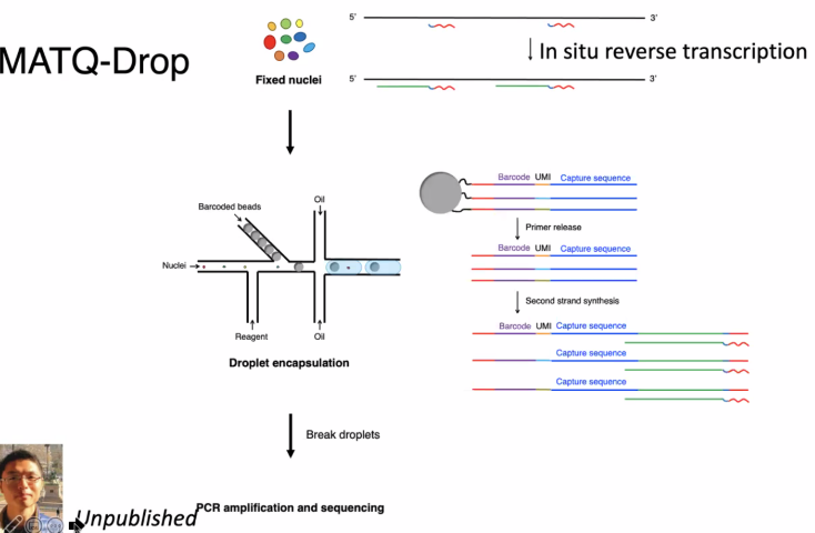 image-20211016091704036