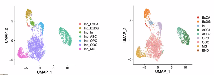 image-20211016092200690