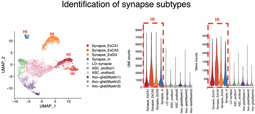 image-20211016092449573