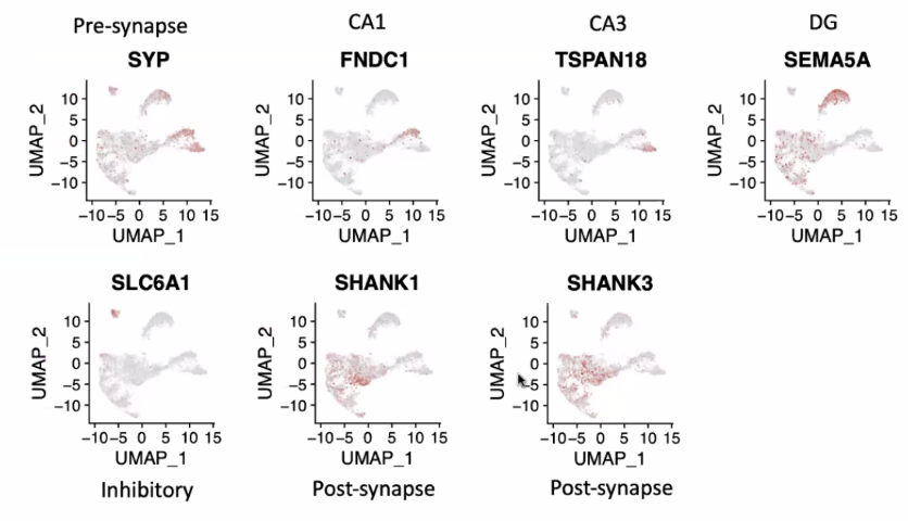 image-20211016092628731