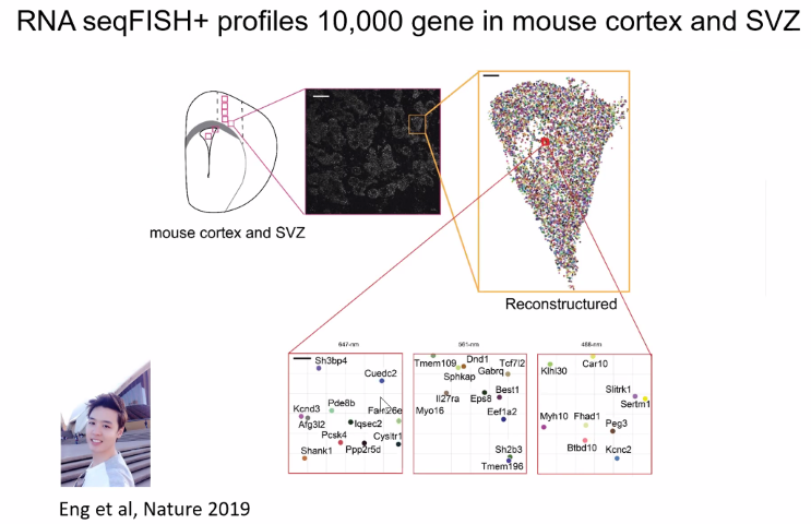 image-20211016094803080