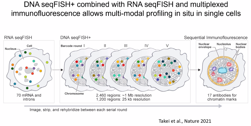 image-20211016094847385