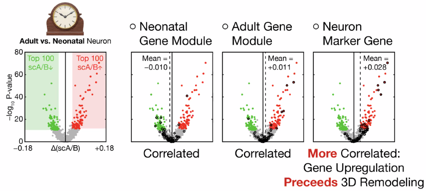 image-20211016103056888