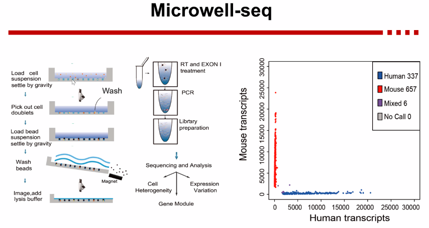 image-20211016153458157