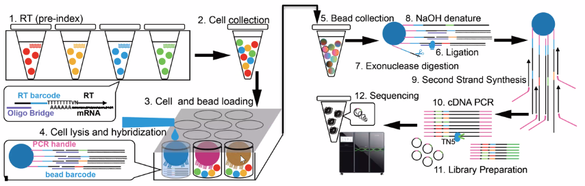 image-20211016153652426