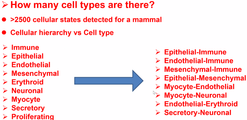 image-20211016154501659