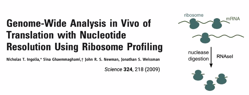 image-20211016161208420