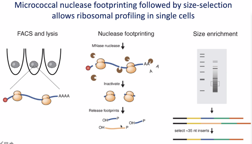 image-20211016161414221
