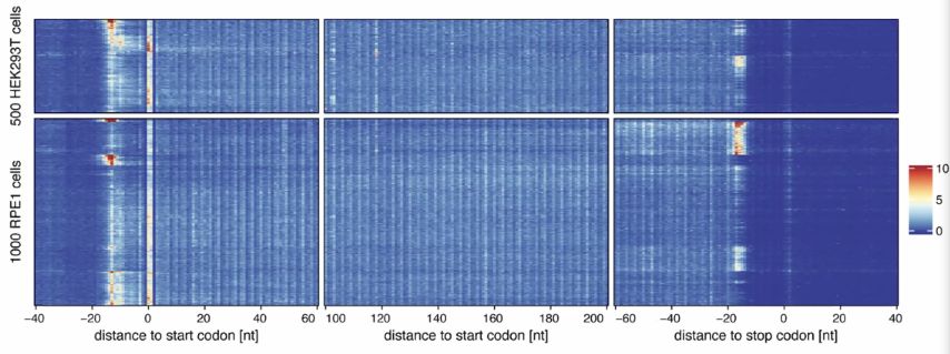 image-20211016161545823