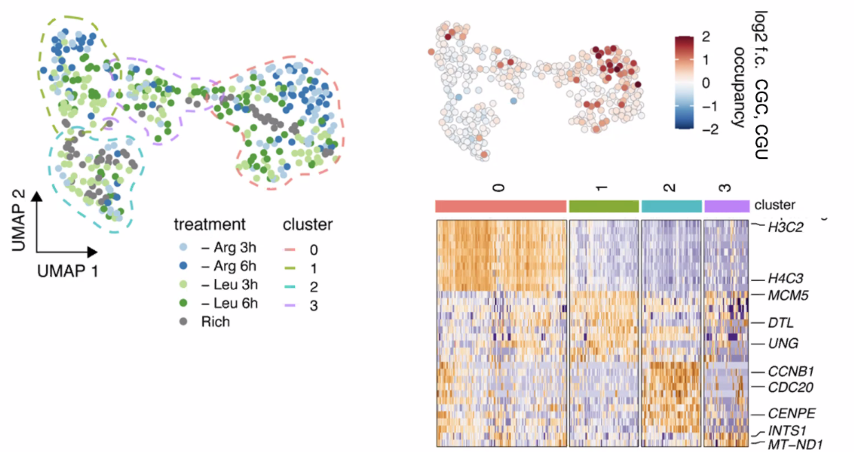 image-20211016162257676