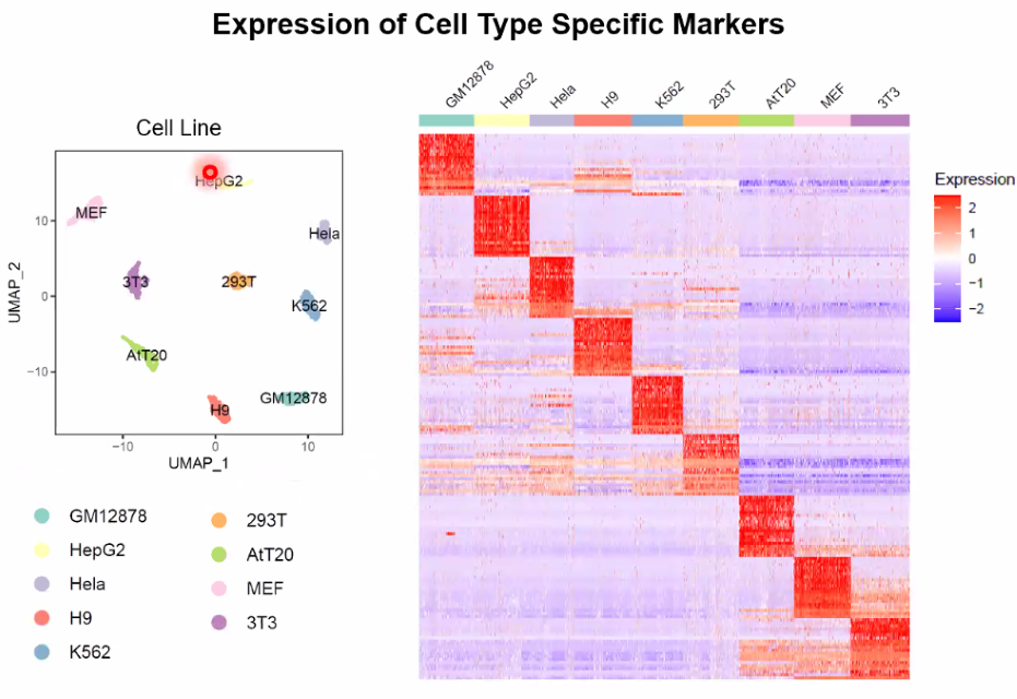 image-20211016201735074