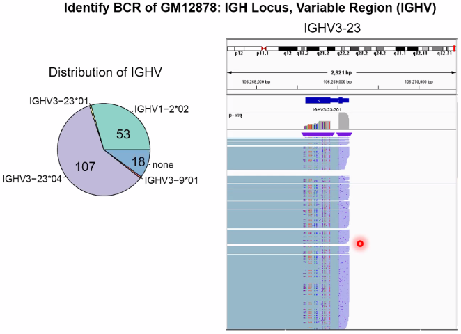 image-20211016201800319