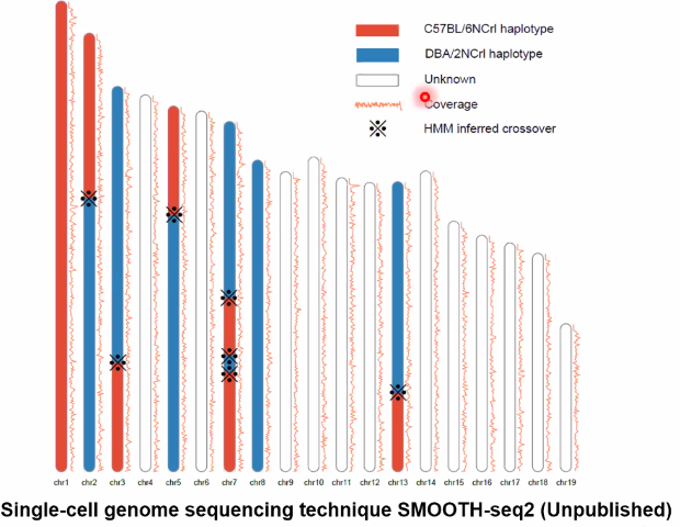 image-20211016202536518