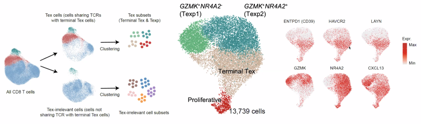 image-20211016204208814