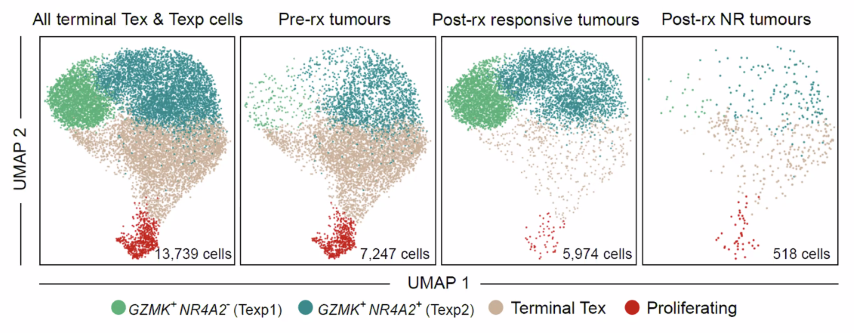 image-20211016204330021