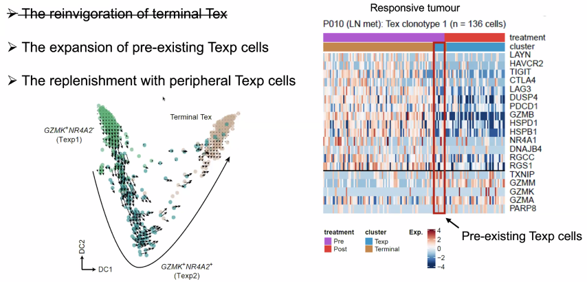 image-20211016204509264