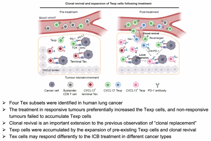 image-20211016204749825