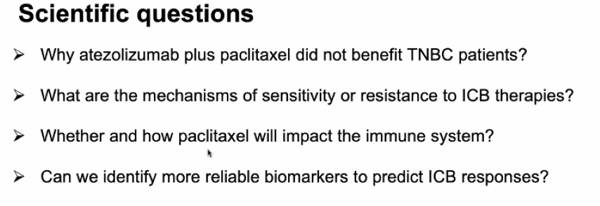 image-20211016204946940