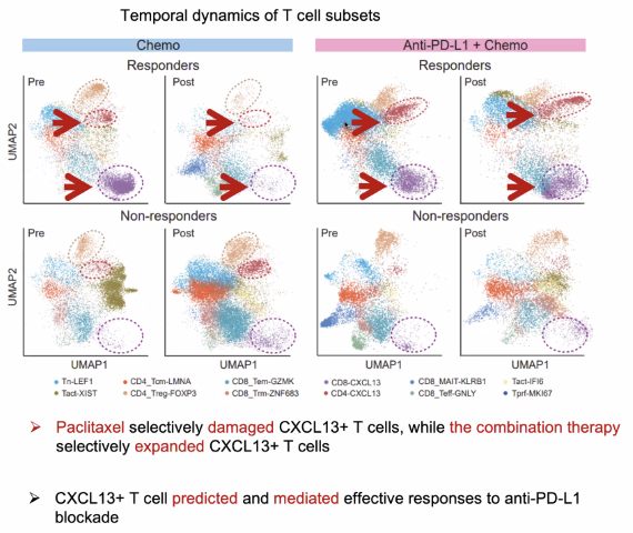 image-20211016205326511