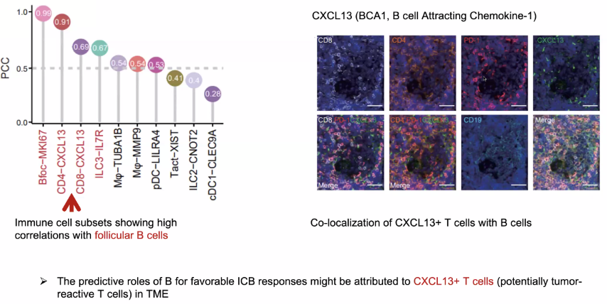 image-20211016205502470