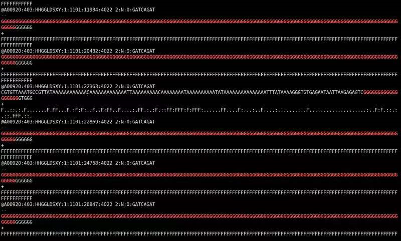 image-20220908204229654