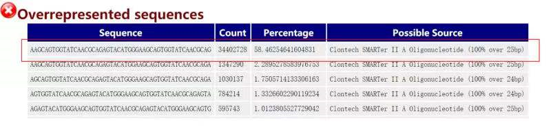 image-20220908204244142