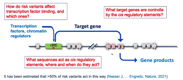 image-20221013104254925