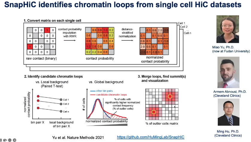 image-20221013105131216