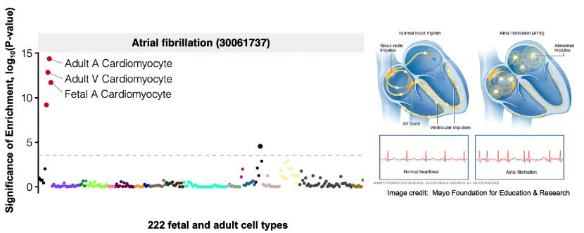 image-20221013105850435