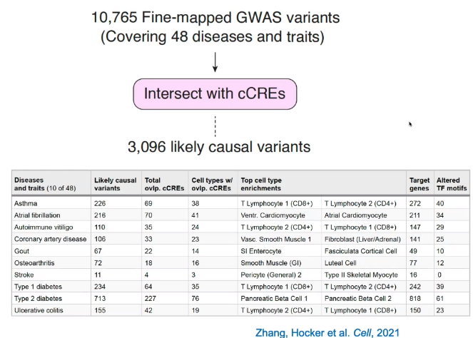 image-20221013105926574