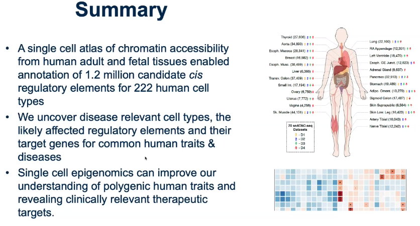 image-20221013110318805