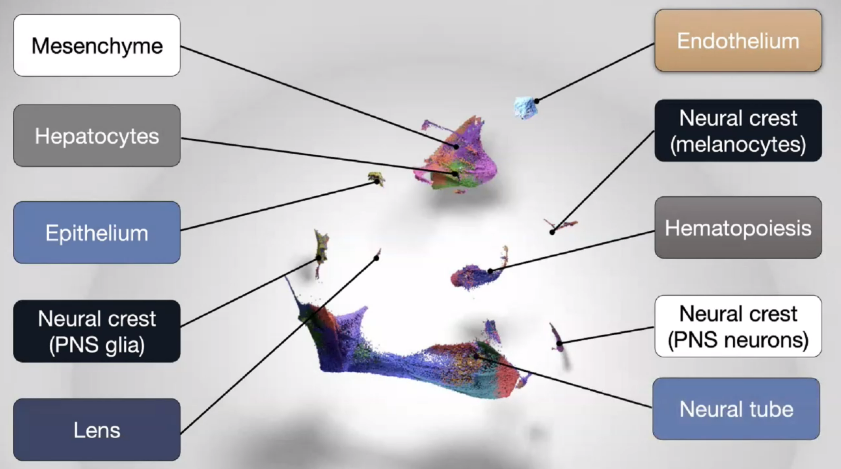 image-20221013112557477