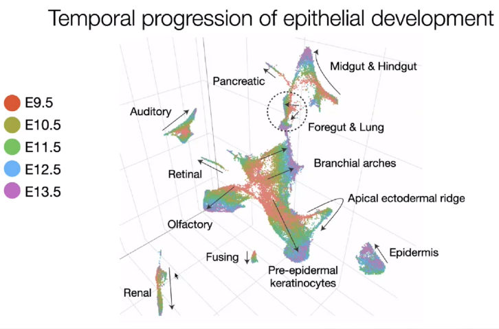 image-20221013112701901