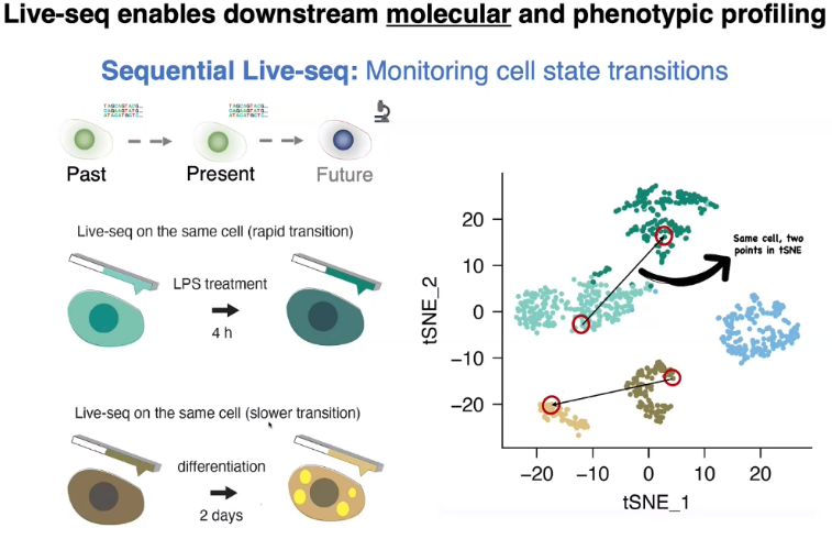 image-20221013155506466