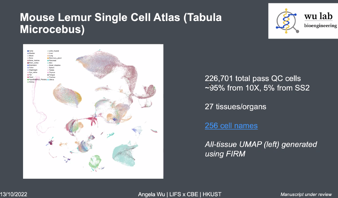 image-20221013164210589