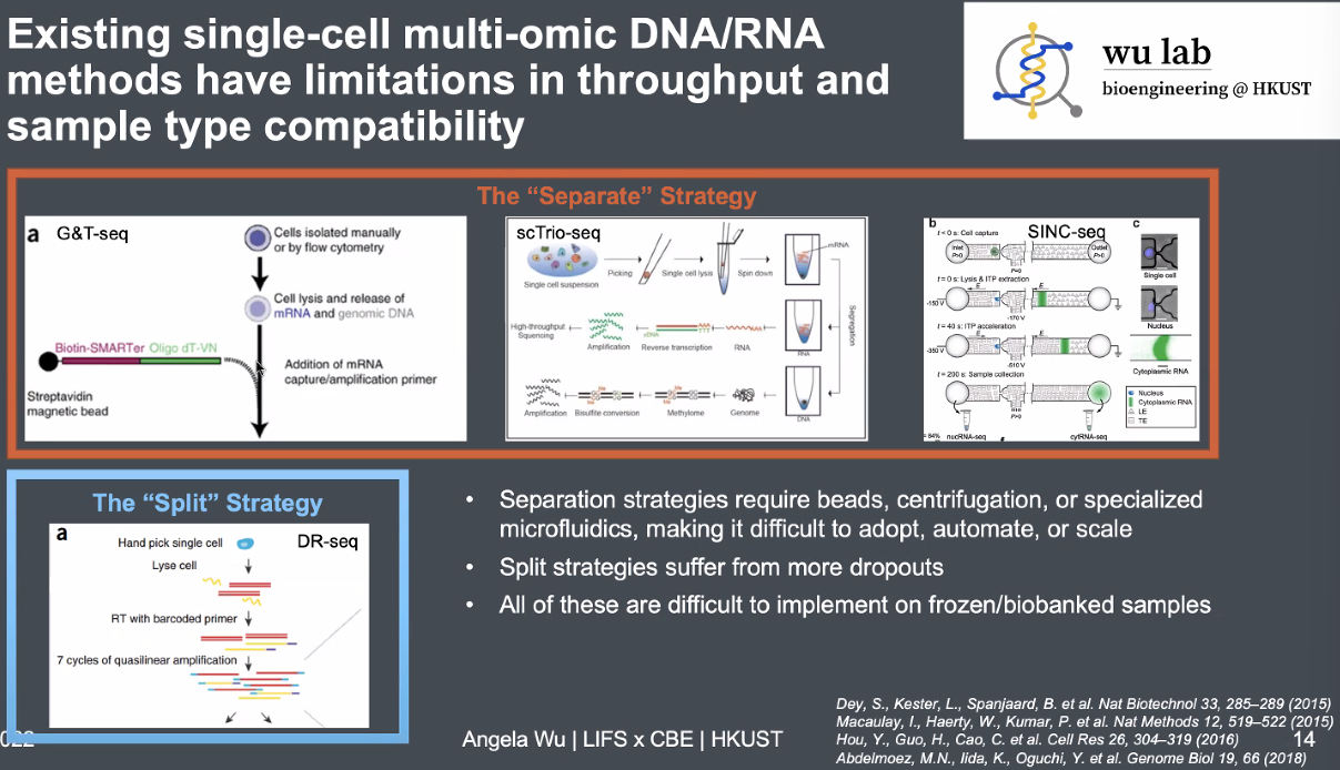 image-20221013164720689