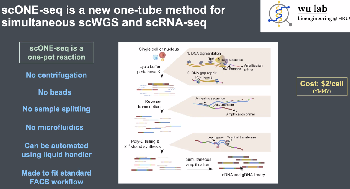 image-20221013164806662