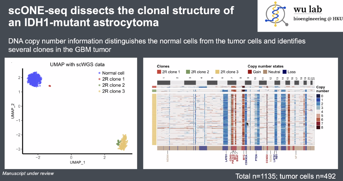 image-20221013165506031