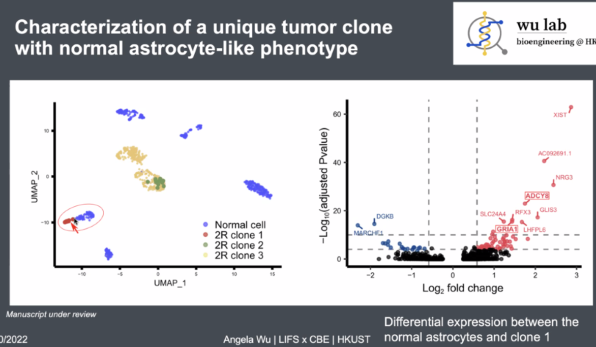 image-20221013165838767