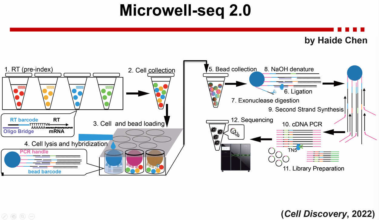 image-20221013171408431