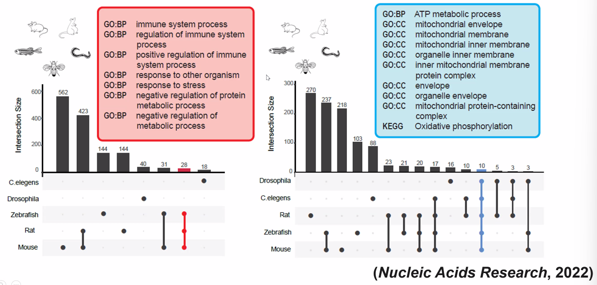 image-20221013171855788